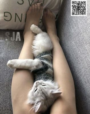 欧美精品综合在线_蓝光高清完整版