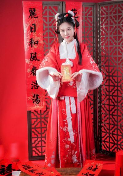 延禧攻略在线观看_DVD高清视频播放